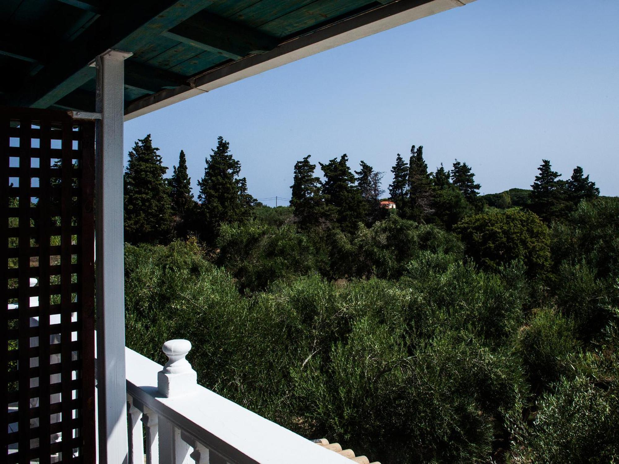 Areti Orfeas Studios Vasilikí Oda fotoğraf