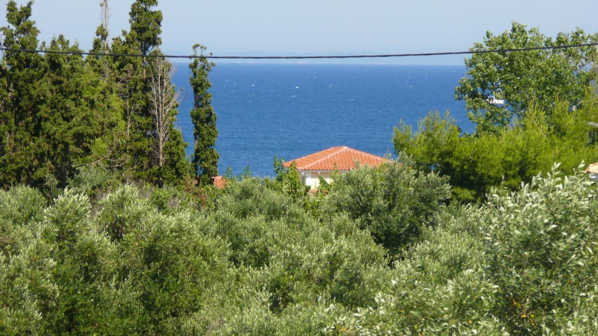 Areti Orfeas Studios Vasilikí Oda fotoğraf