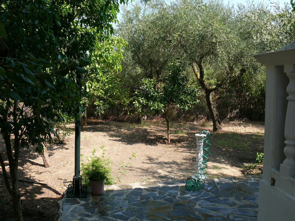 Areti Orfeas Studios Vasilikí Dış mekan fotoğraf