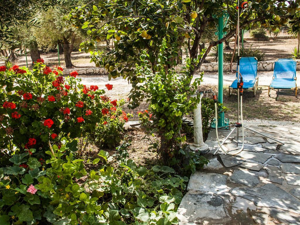 Areti Orfeas Studios Vasilikí Dış mekan fotoğraf